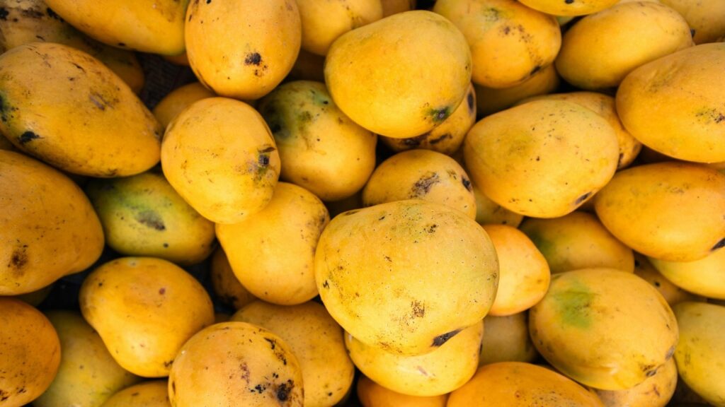 Mango season is here: How to spot chemically ripened mangoes